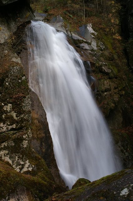 20061112_ojiragawatrip_025
